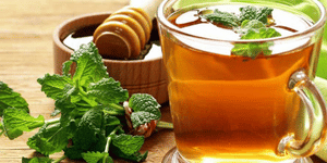 National Institute of Ayurveda, Jaipur, Rajsthan