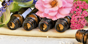 Top Homeopathy Colleges in Bhopal by bhavyagyan