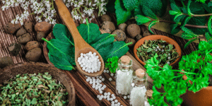 Sri Sairam Homoeopathy Medical College & Research Centre, Chennai, Tamil Nadu