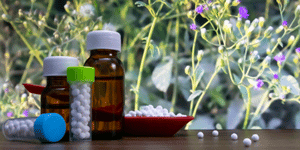 Top Homeopathy Colleges in Bhopal by bhavyagyan