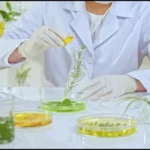 Standardization of Herbal Medicines by bhavyagyan