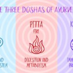 Basic Principles of Ayurveda by bhavyagyan