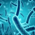 Basics of Microbiology by bhavyagyan