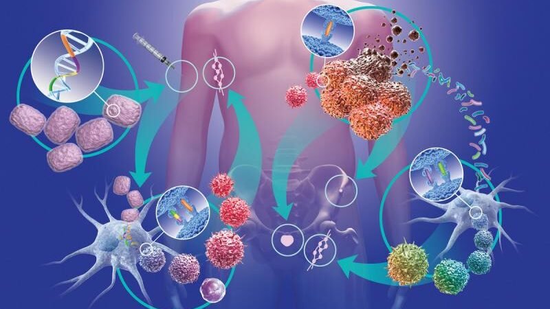 Health Camp Organization by bhavyagyan