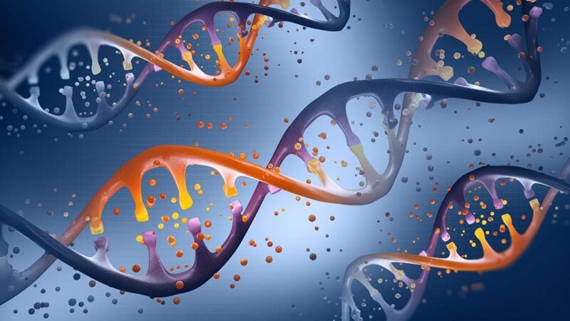 B.Tech Genetic Engineering by bhavyagyan