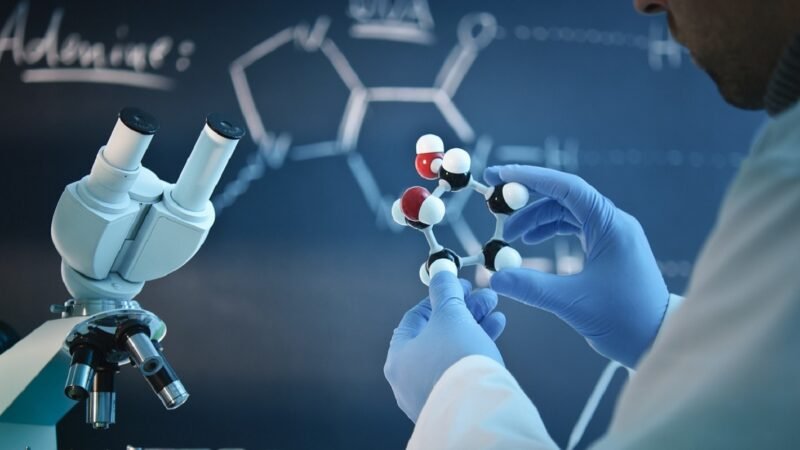 B.Tech in Bioinformatics Engineering by bhavyagyan