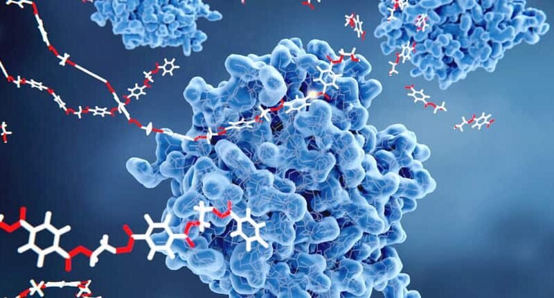 B.Tech in Polymer Engineering by bhavyagyan