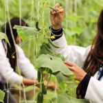 ICAR NTS Scholarship by bhavyagyan