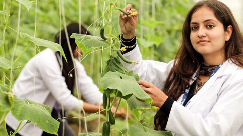 BSc Agriculture Course 2026 by bhavyagyan