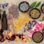 Ayurvedic Lifestyle & Wellness Course by bhavyagyan