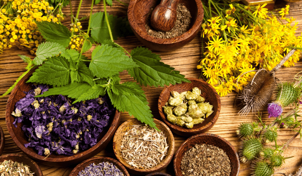 Explore the ayurveda doctor career scope in India by bhavyagyan