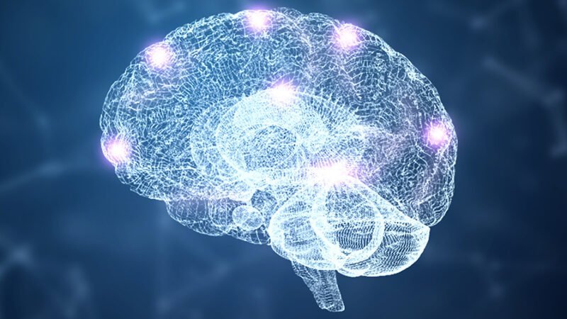 Life Sciences Course by bhavyagyan