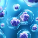 Stem Cell Research by bhavyagyan