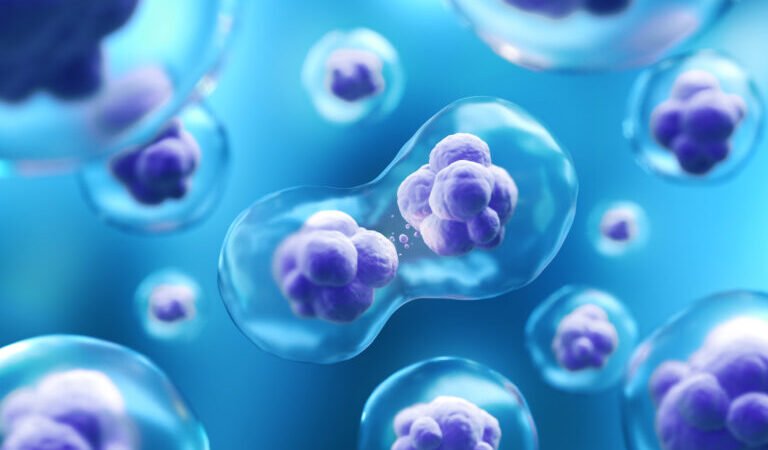 Stem Cell Research by bhavyagyan